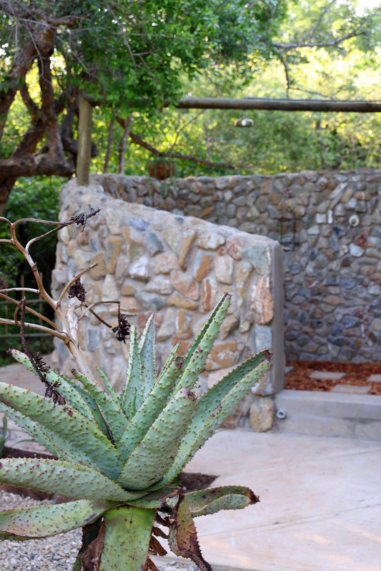 מרלות' פארק Grace Of Africa, Couples 5 Star Nature Lodge מראה חיצוני תמונה